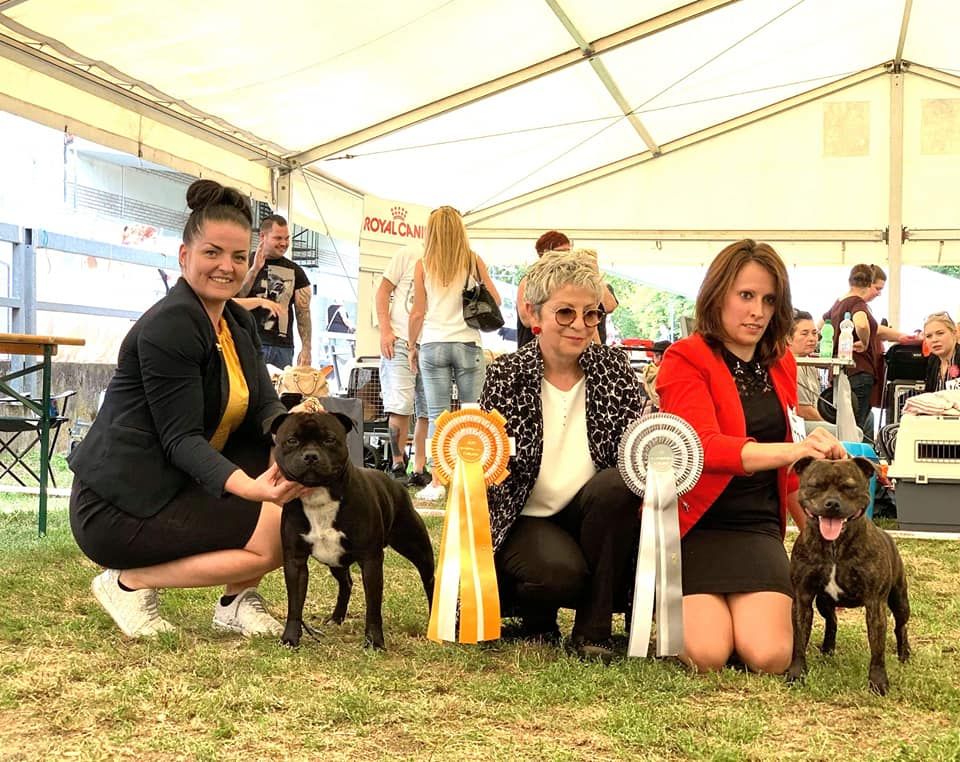 Of Stafford Edition - CACIB + BEST OPPOSITE SEXE  Ludwigshafen 2019 