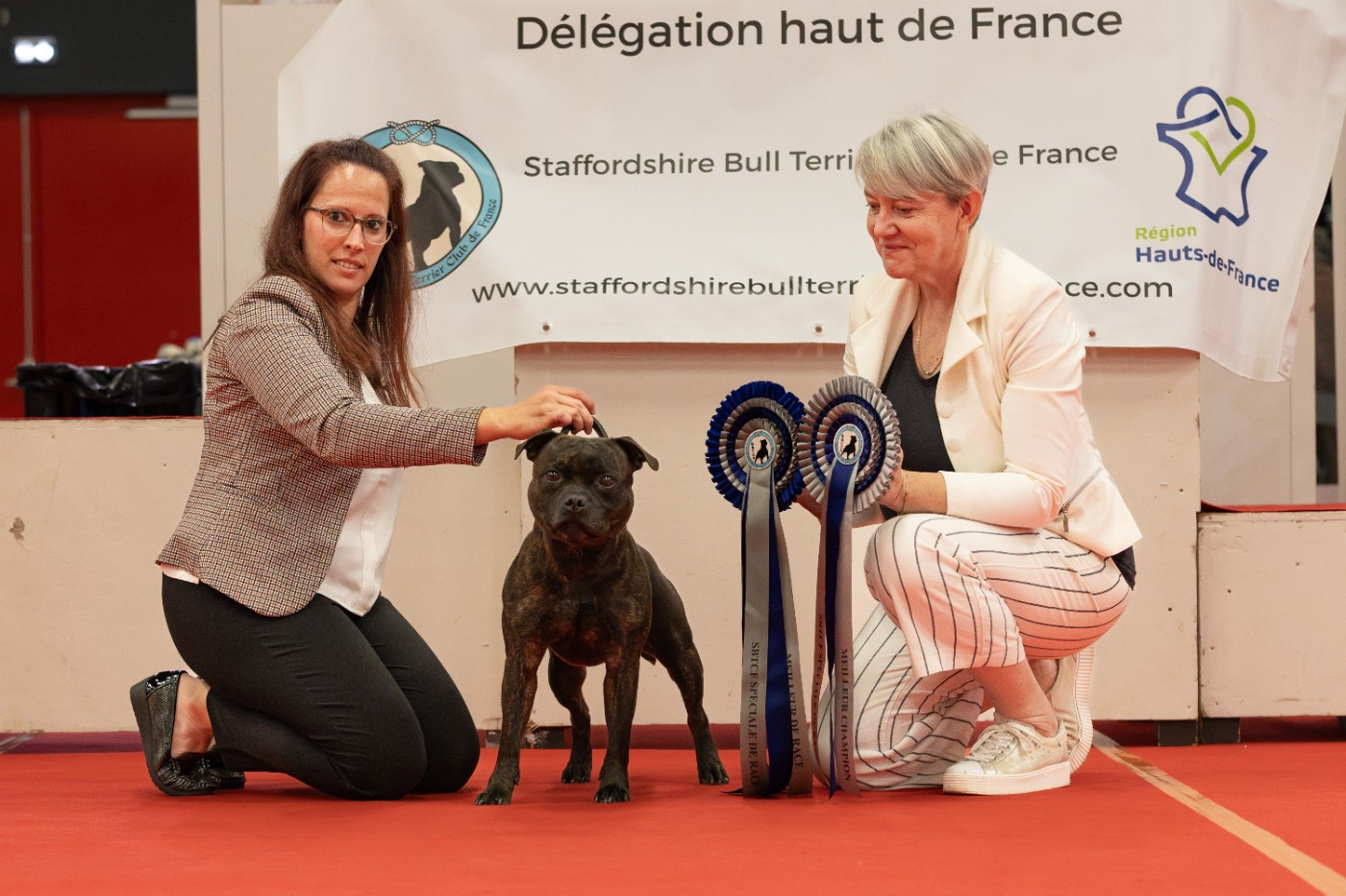 Of Stafford Edition - SPECIALE DE RACE COMPIEGNE 2024